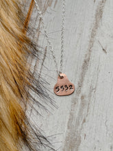 Load image into Gallery viewer, Copper 4-digit “Wild Necktag”