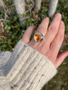 Montana Agate Ring